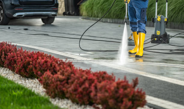 Best Sidewalk and Walkway Cleaning  in Elverta, CA